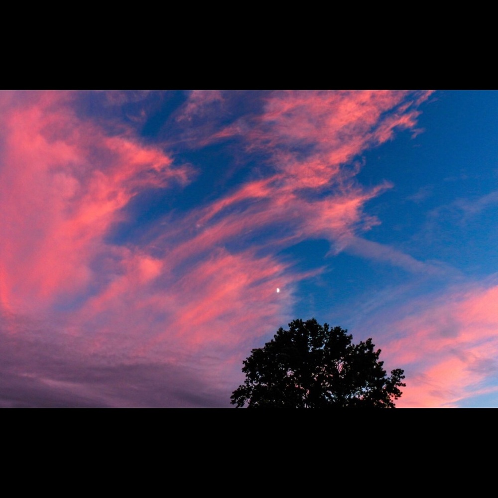 Meet your Posher, Marianna